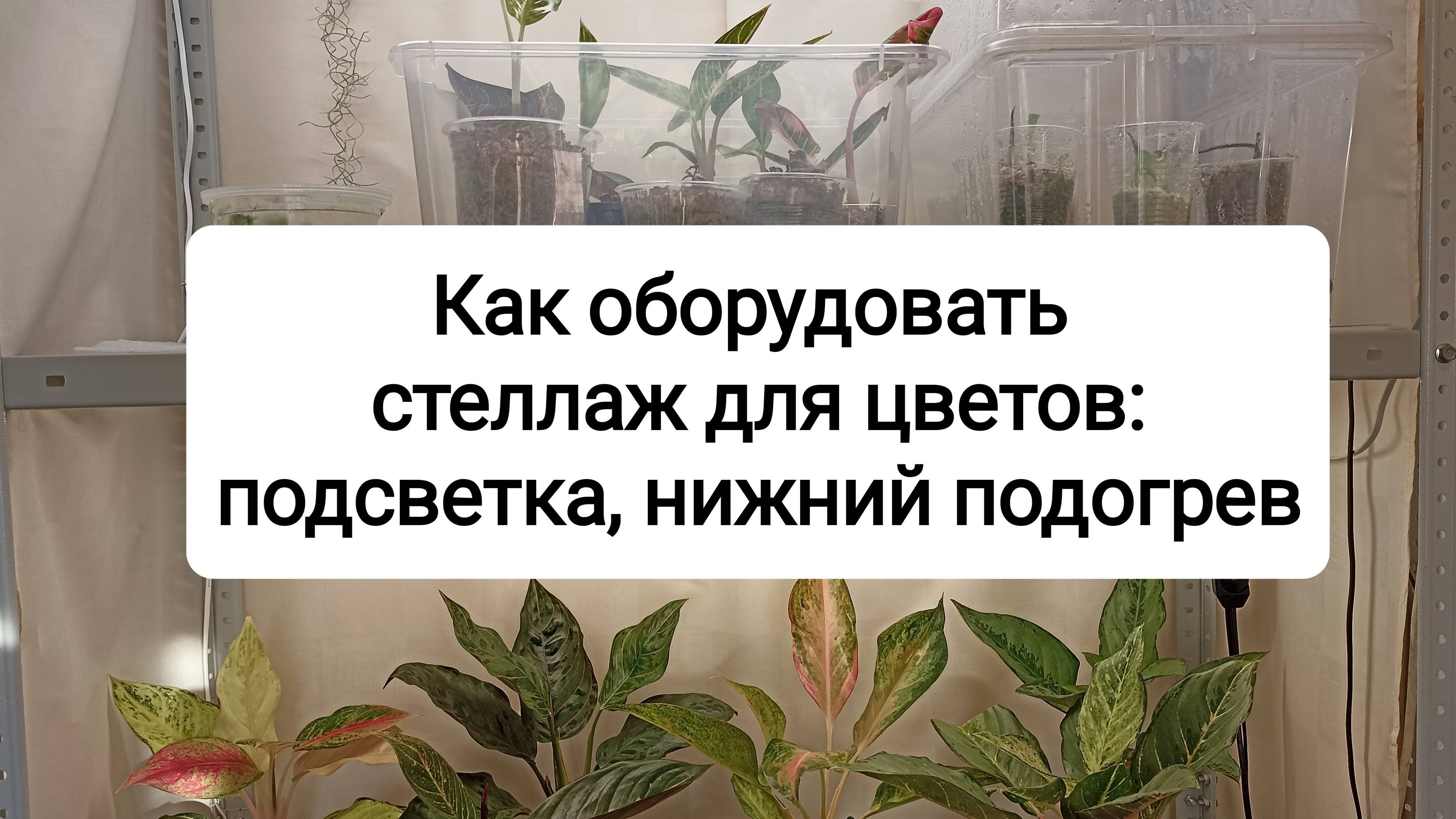 Как оборудовать стеллаж для растений