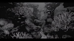 Underwater World of the Undead 4K