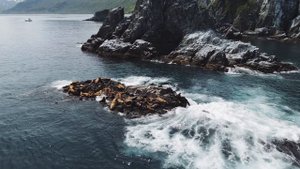 9806652-uhd_3840_2160_30fps