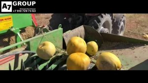 Тыквоуборочный комбайн TR 3002 автоматический