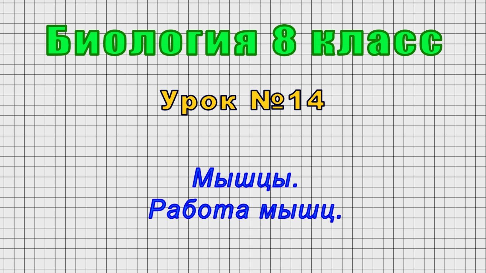 Биология 8 класс (Урок№14 - Мышцы. Работа мышц.)