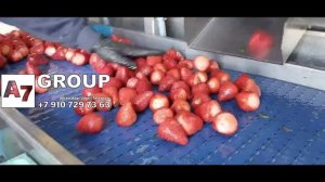 Линия удаления плодоножки клубники 700 кг в час
