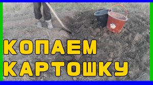 Жизнь в Деревне #11🏡 | Докапываем картошку 🥔 | последние теплые ДНИ 🍁.