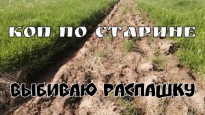КОП ПО СТАРИНЕ, ВЫБИВАЮ РАСПАШКУ. ПОИСК СТАРИНЫ С ЭКВИНОКС 800.