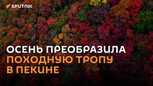 Сто оттенков красного: осень преобразила походную тропу в Пекине