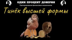 Тинёк высшей формы