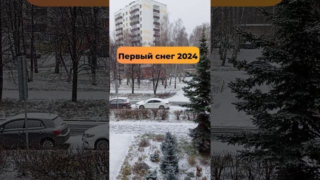 Первый снег 2024