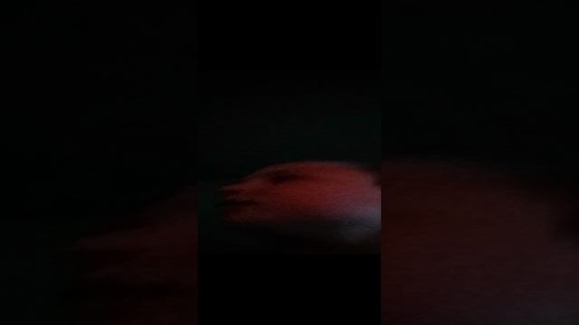 я знакомлюсь с вами