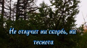 Свет - Госпожа
