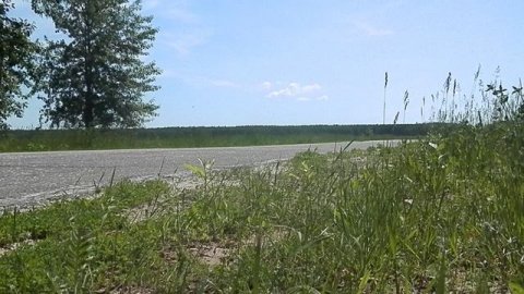 Мой кавасаки