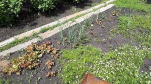 Начинаем знакомиться.