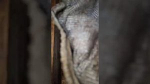 Влажность в омшаннике.14.12.21г