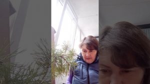 Ритуал отсечения от Рода.Чистка. Мощно снимаем негатив, порчи, крадники способностей. + Защита