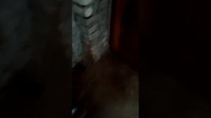 Сегодня ночью прорвало стояки отопления и начался потоп с заливом квартир! Кто ответит ?