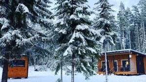 Tammiko Lampi (Лампи), зимняя сказка в лесу