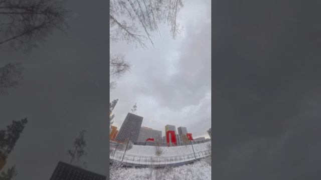 Таймлапс из заснеженного парка