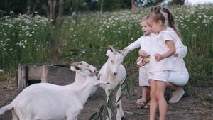 5387675-uhd_3840_2160_30fps