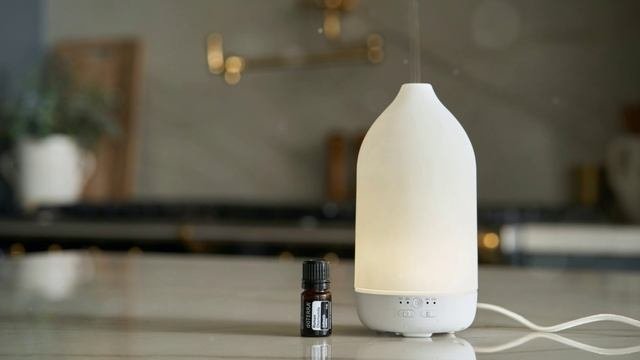 Лучшие ароматы для дома и авто: Обзоры и советы