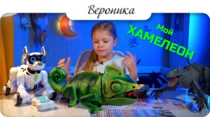 Хамелеон #Nika #сезонконтентаRUTUBE