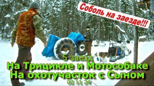 5 заезд На трицикле и мотособаке Вдвоём с Сыном 02 11 24