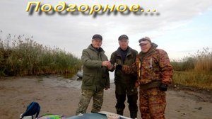 Ежегодная встреча друзей . Волга 24.