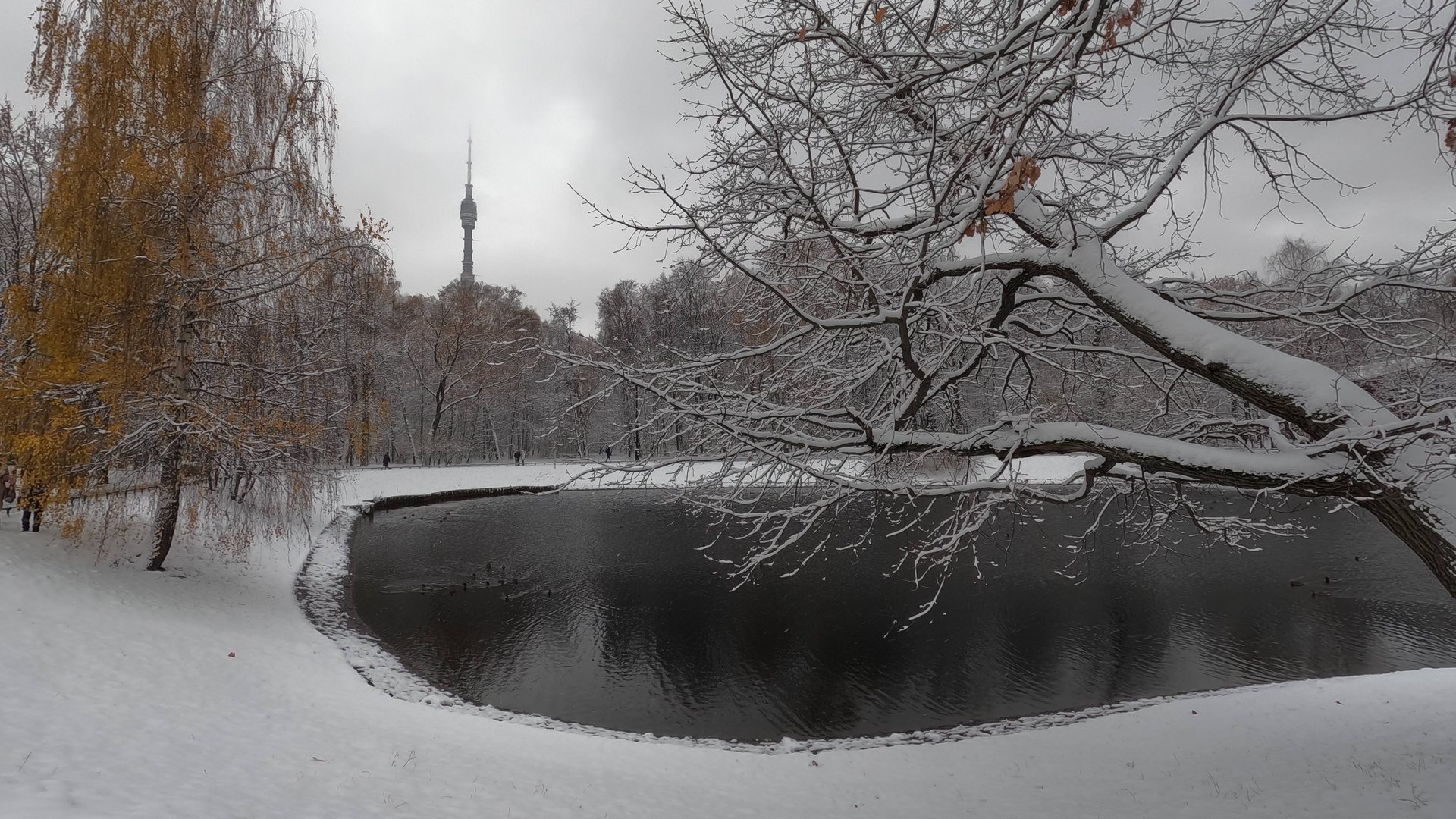 МОСКВА - 4 ноября 2024 г. СТОЛИЦА ЗА НОЧЬ ПЕРЕОДЕЛАСЬ. ЧАСТЬ - 2: первый снег в парке. смотреть онлайн