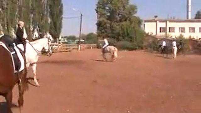 Loshadi.flv смотреть онлайн