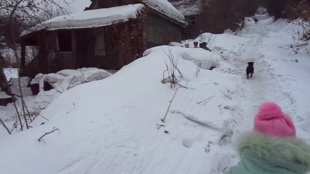 ЗАГОРЬЕ 26.01.2022