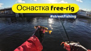 #streetfishing | Оснастка Free-rig | Лучший монтаж по чуйке в ловле окуня |