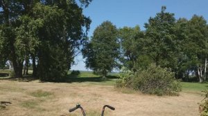 Лето Сестрорецк