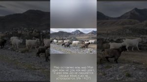 Поездка в Кош-Агач