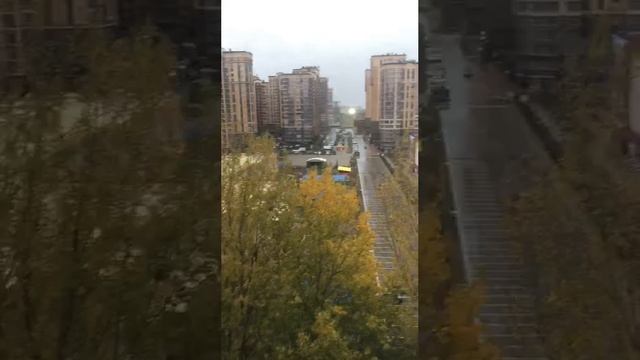 Обзор