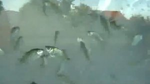 Под лаской плюшевого пледа РОМАНС