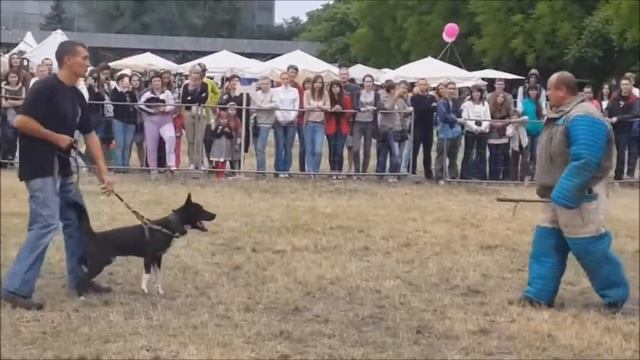 Кинбой от Данилы Должикова. Самооборона с применением собаки.