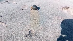 6178956-hd_1916_1040_30fps