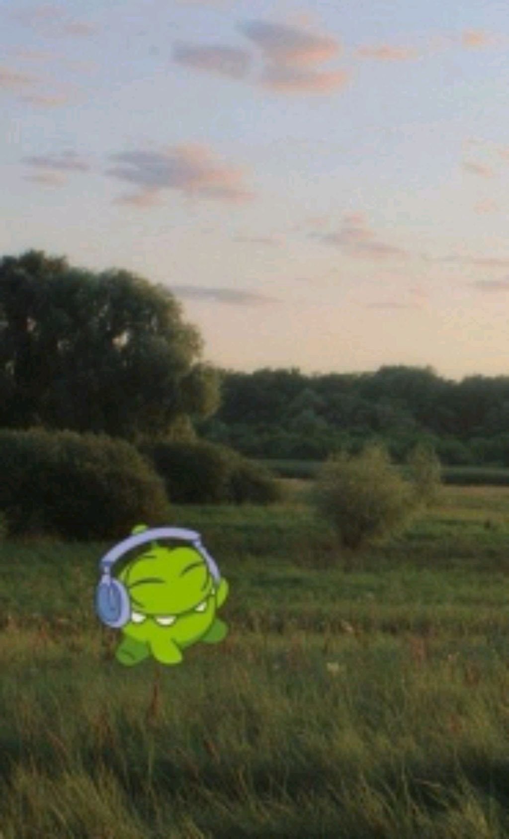 ну хс