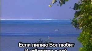 Eсли лилию Бог любит (караоке)