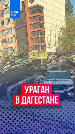 90 тысяч жителей остались без электроэнергии из-за урагана в Дагестане