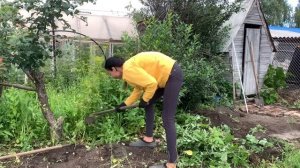 ПРИЕХАЛИ НА ДАЧУ,А ТАМ…/Я РАССТРОИЛАСЬ УВИДЕВ ЭТО/БОРЮСЬ С ЗАРОСЛЯМИ/ВИТАЛЯ ДОДЕЛАЛ ПАРКОВКУ НА ДАЧЕ