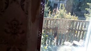 Как быстро поставить профиль уголок на гипсокартонные откосы пластикового окна