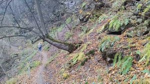 КУРОРТ АРМХИ - Ляжгинский Водопад, Ингушетия