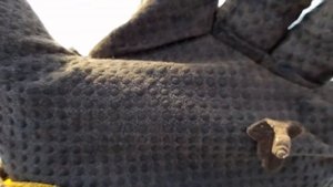 Открытие сезона 2022 с Квазар АРМ! Тест Квазара АРМ на морозе. Первая находка сезона!