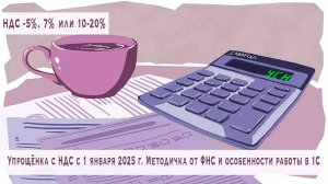 Упрощёнка с НДС с 1 января 2025 г. Методичка от ФНС и особенности работы в 1С