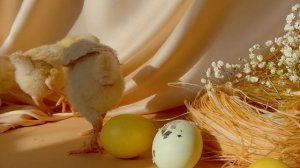6897904-uhd_4096_2160_30fps