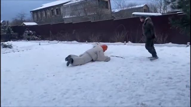 Кинбой.  Помощь хозяина собаке в борьбе с нападающим человеком.