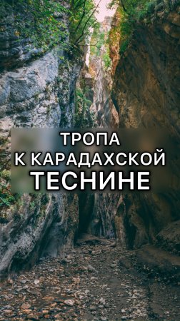 Карадахская теснина в Дагестане