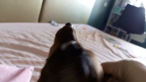 1000006180.mp4Моя подружка Тася
