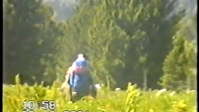Нас вода приворожила - День туриста.