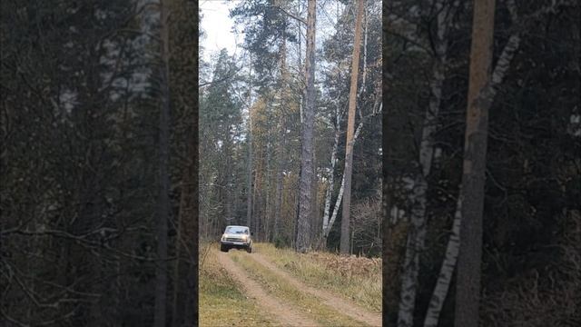 лесной олень...)