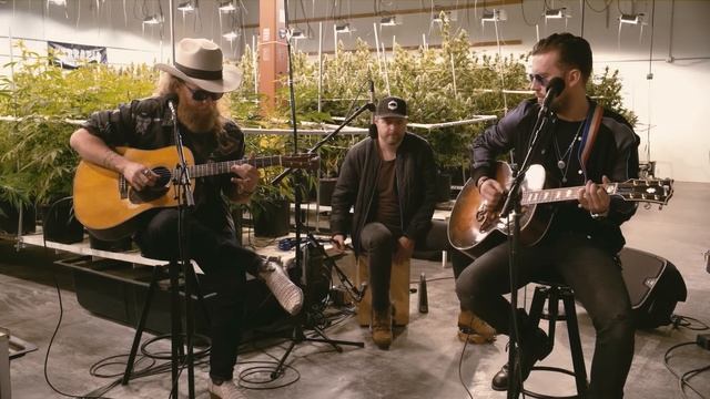 Brothers Osborne - Weed, Whiskey And Willie (Terrapin Care Station Sessions)